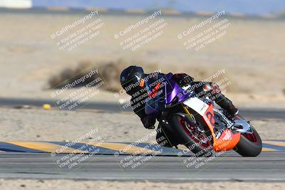 media/Jan-14-2024-SoCal Trackdays (Sun) [[2e55ec21a6]]/Turn 4 Tree of Life (155pm)/